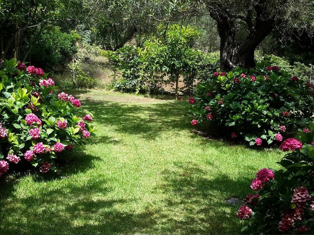 Villa Galini Sívota Dış mekan fotoğraf