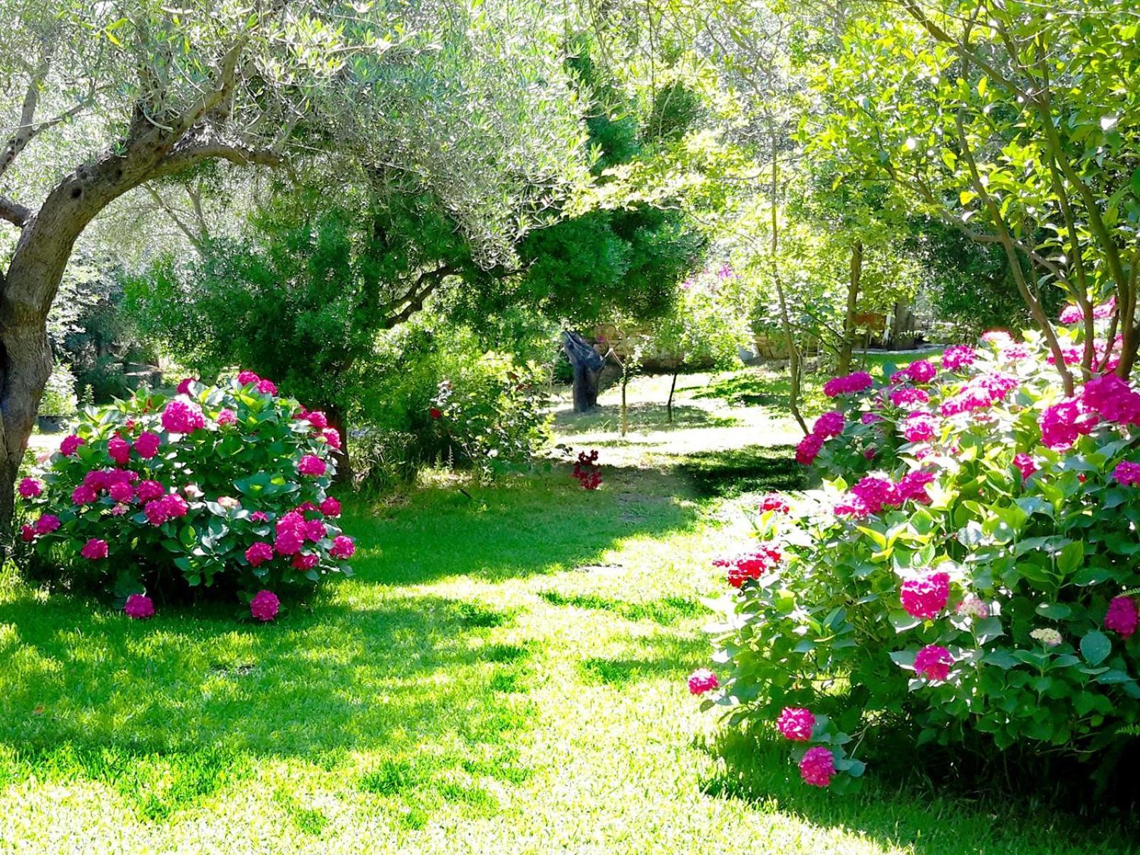 Villa Galini Sívota Dış mekan fotoğraf