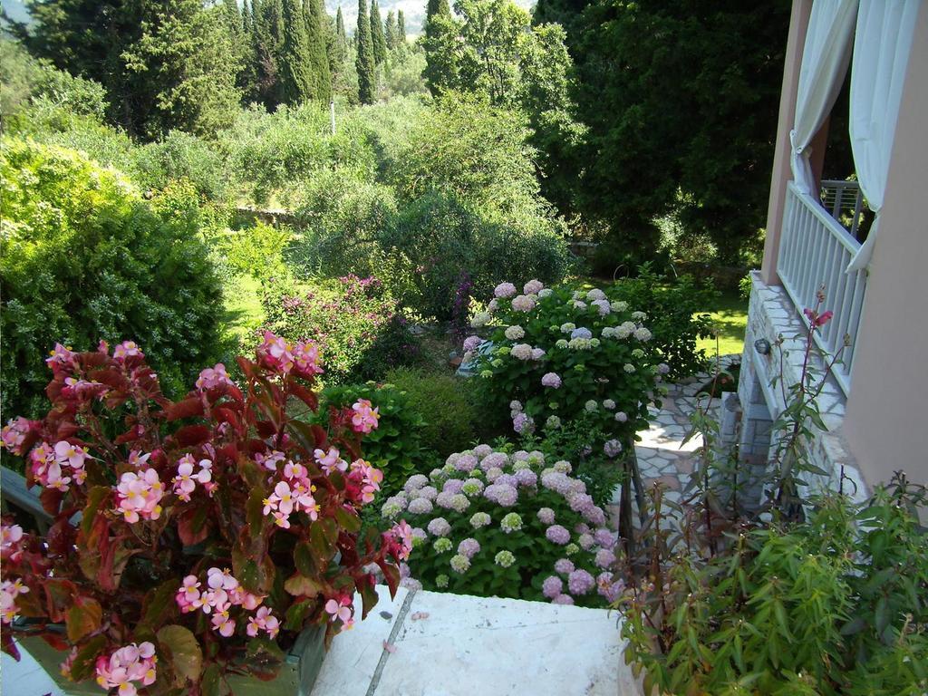 Villa Galini Sívota Dış mekan fotoğraf