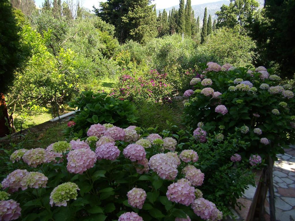 Villa Galini Sívota Dış mekan fotoğraf