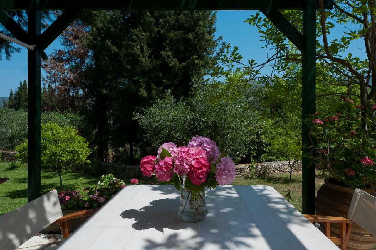 Villa Galini Sívota Dış mekan fotoğraf